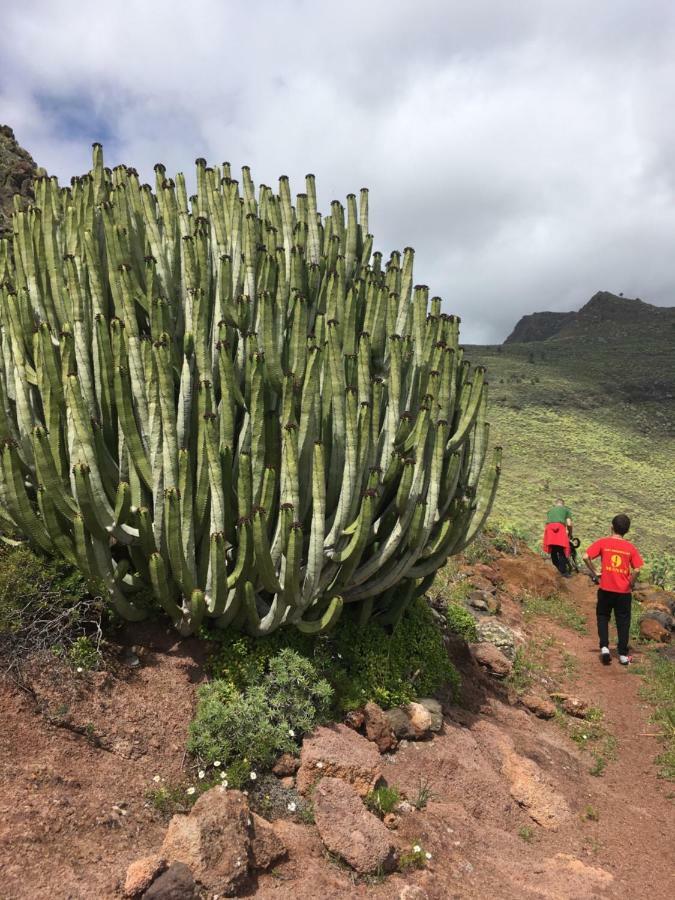 Casa Manel, La Gomera San Sebastián de la Gomera Dış mekan fotoğraf